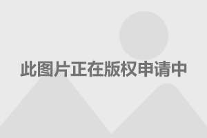  波尔多降级后球队面临重组危机  